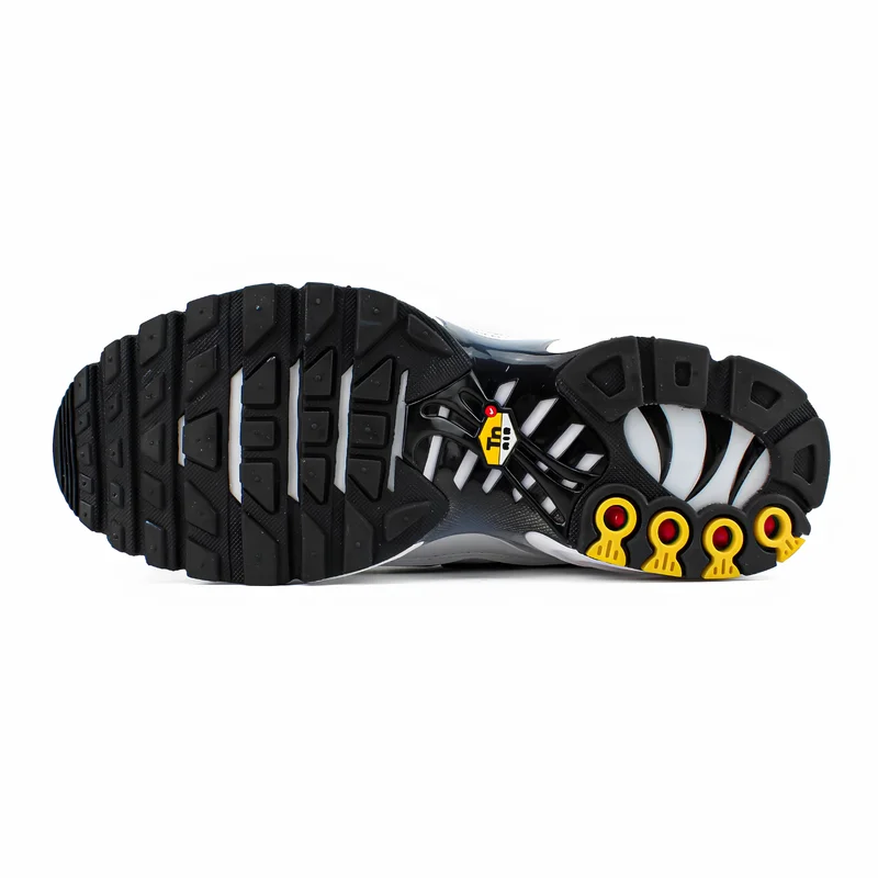 Nike Air Max Plus TN Killer Whale