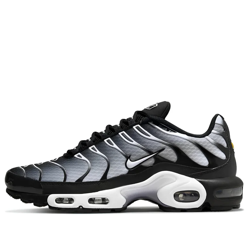 Nike Air Max Plus TN Black Silver White