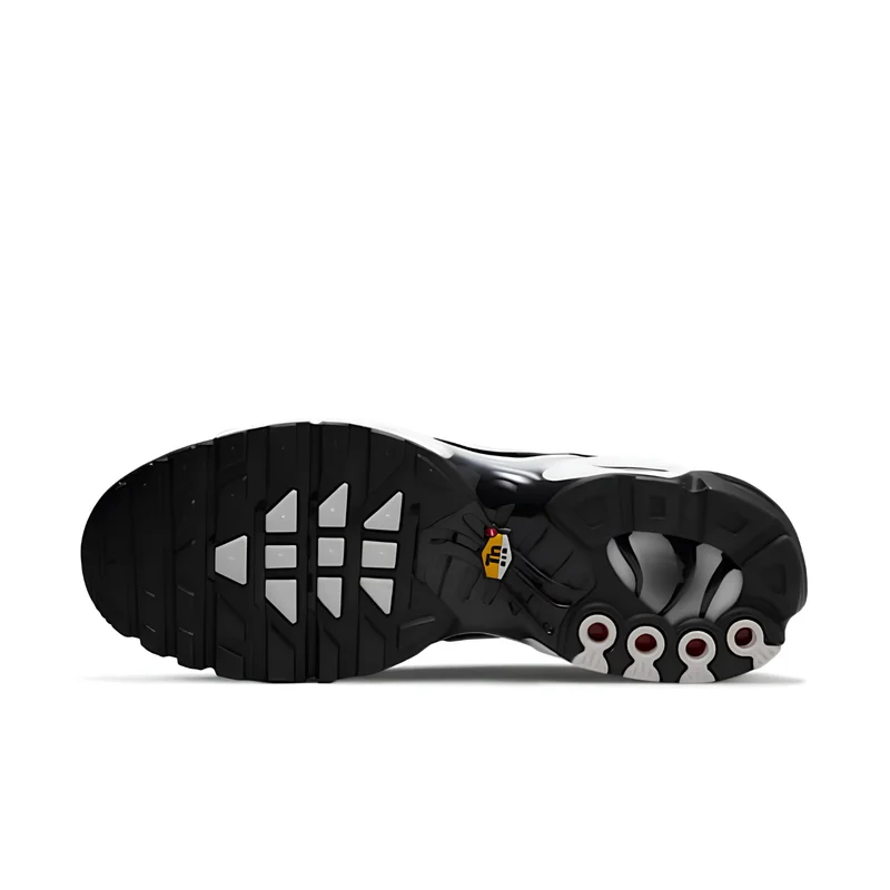 Nike Air Max Plus TN Black Silver White