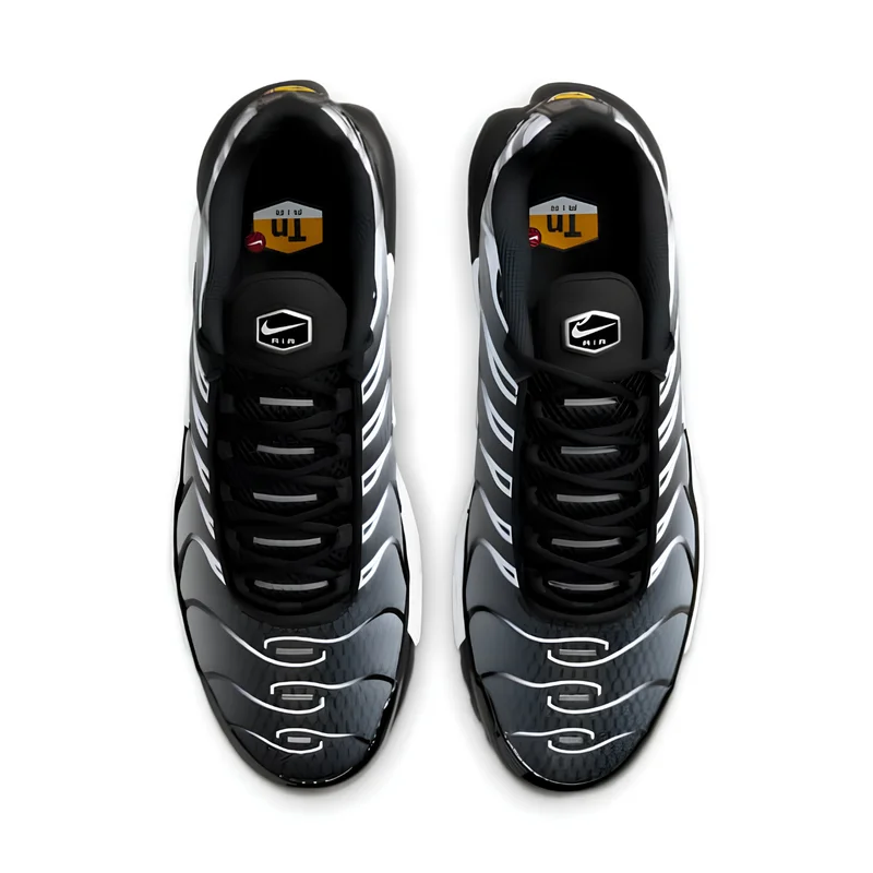 Nike Air Max Plus TN Black Silver White