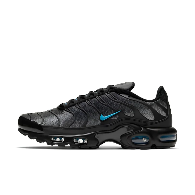 Nike Air Max Plus TN Black Hex