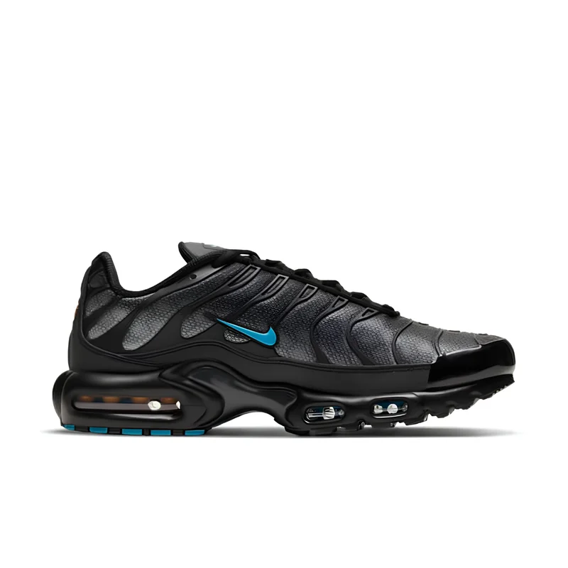 Nike Air Max Plus TN Black Hex