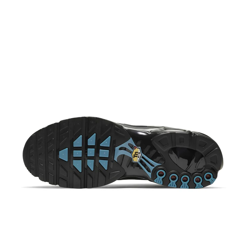 Nike Air Max Plus TN Black Hex