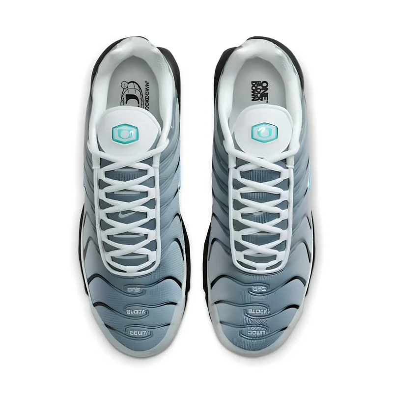 Nike Air Max Plus TN Clear Fog