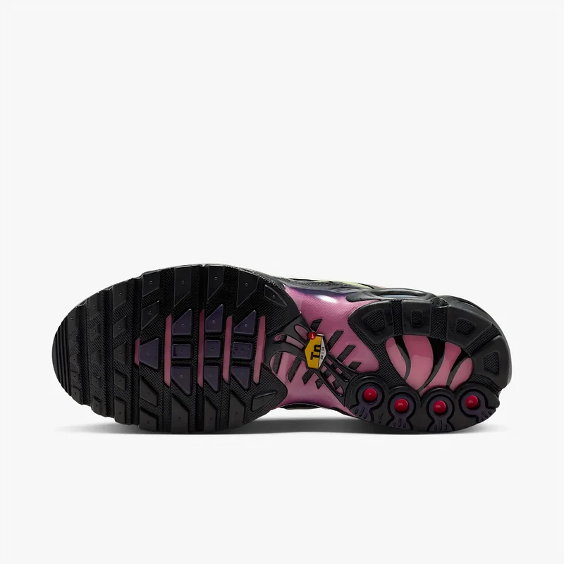 Nike Air Max Plus TN Purple Dynasty