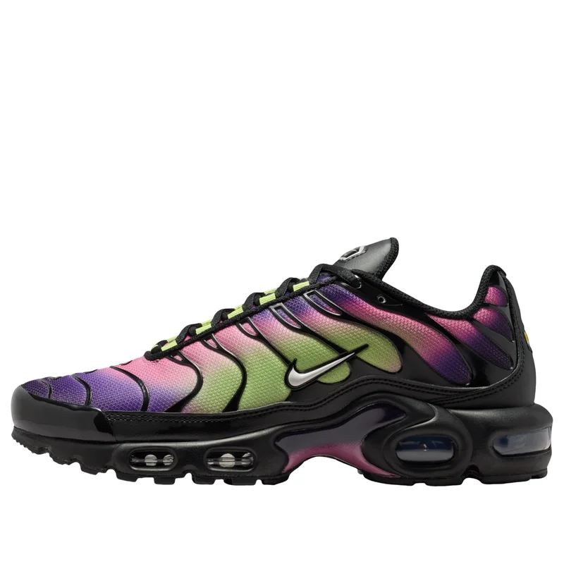 Nike Air Max Plus TN Purple Dynasty